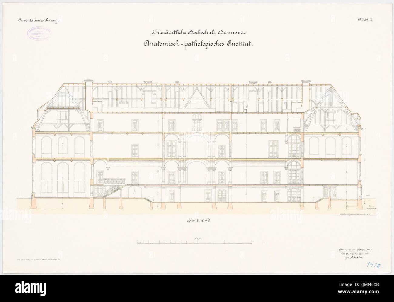 Architetto sconosciuto, Università veterinaria di Hannover. Istituto anatomopatologico (ca 1900): sezione longitudinale 1: 100. Litografia, 50,7 x 72,5 cm (inclusi i bordi di scansione) Foto Stock