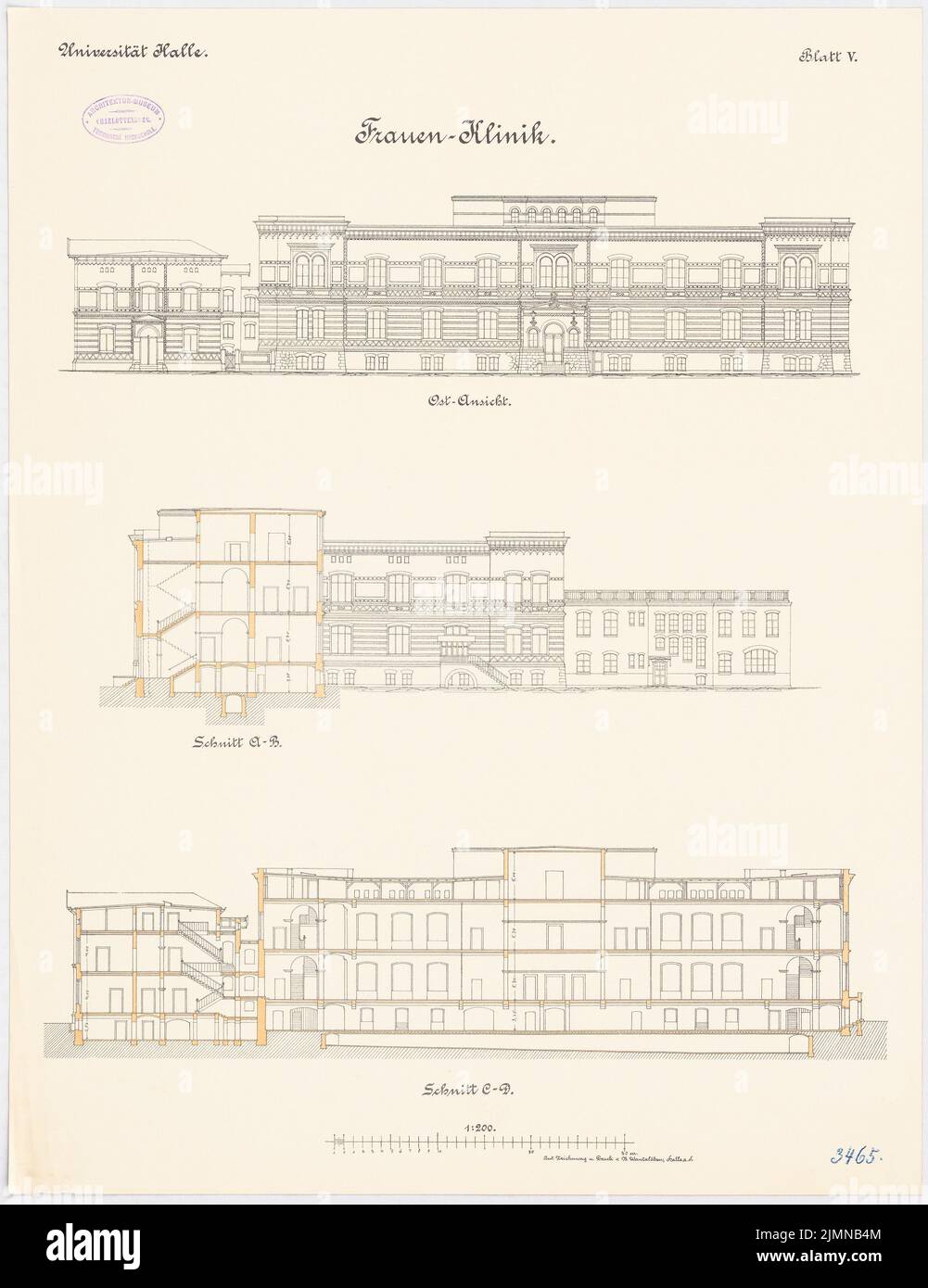 Architetto sconosciuto, clinica femminile della Martin Luther University Halle/Saale (ca 1908-1910): Vista Oste, sezione longitudinale, sezione trasversale 1: 100. Litografia, 65,7 x 50,6 cm (inclusi i bordi di scansione) Foto Stock