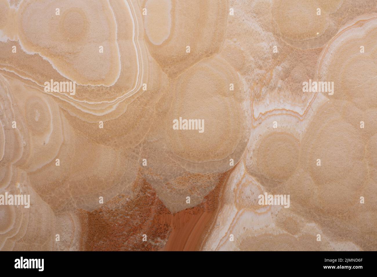 Tessuto Honey Onyx, sfondo in colore beige per interni eleganti. Foto Stock