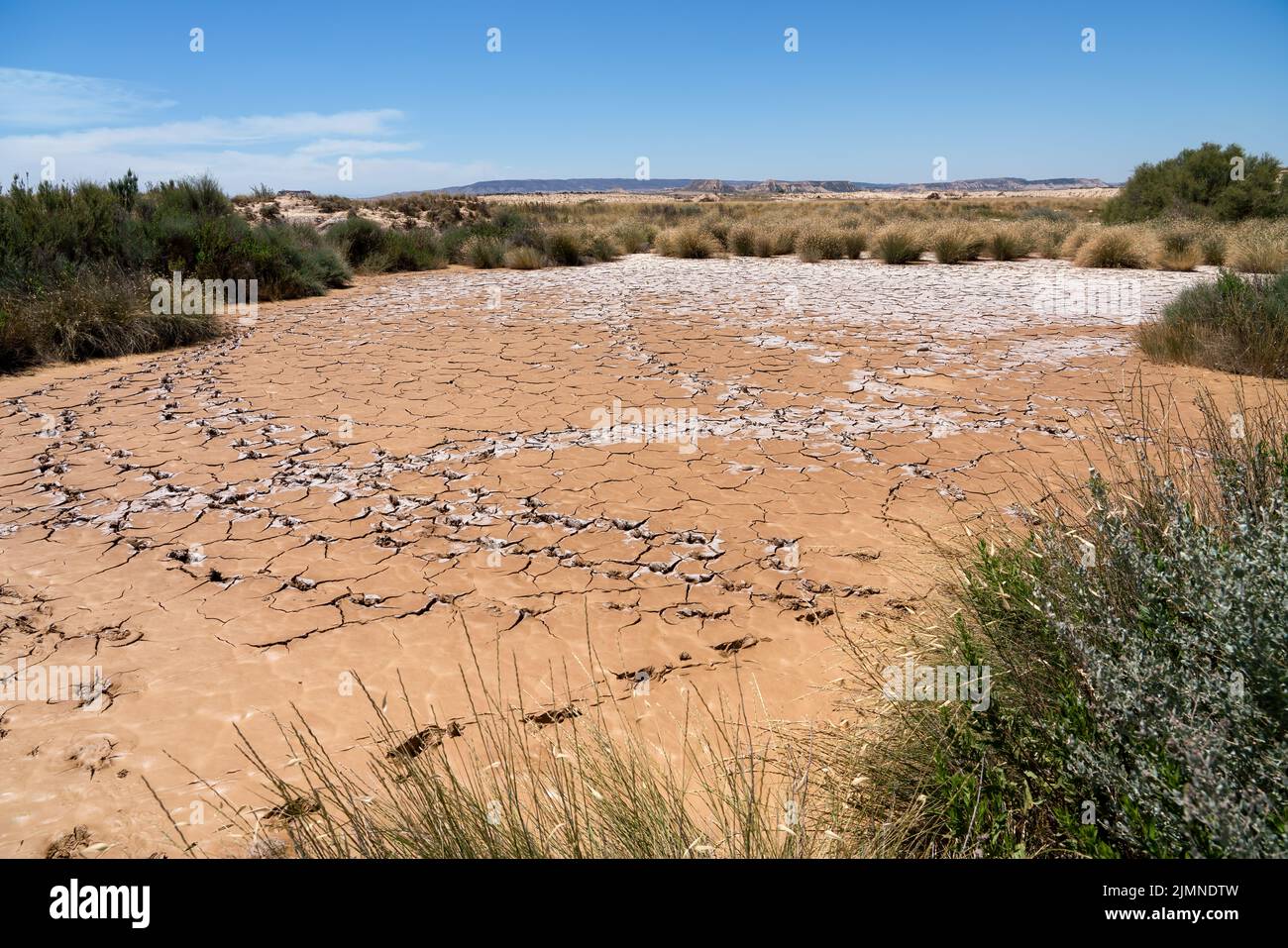 Grandi stampe dei piedi dell'uccello in un letto asciutto fuori del lago dell'argilla, una regione naturale semi-desertica o le terre di tasso, Bardenas Reales, Navarra Spagna Foto Stock