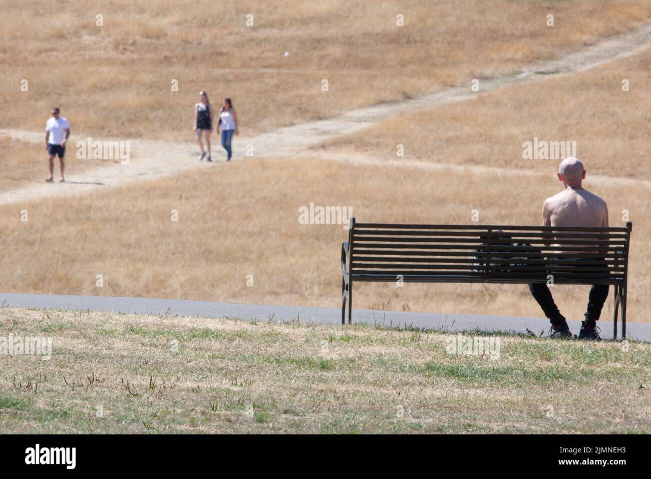 Londra, UK, 7 agosto 2022: Brockwell Park nel sud di Londra, con le sue vedute dei grattacieli della città, è quasi interamente marrone come l'erba è morta con quasi nessuna pioggia nel mese scorso. Mentre la siccità colpisce il sud-est dell'Inghilterra, ci sono preoccupazioni circa il rischio di incendi urbani e chiede alle compagnie idriche di imporre divieti di tubi per prevenire danni ecologici alla fauna selvatica nei fiumi a flusso eccezionalmente basso. Anna Watson/Alamy Live News Foto Stock