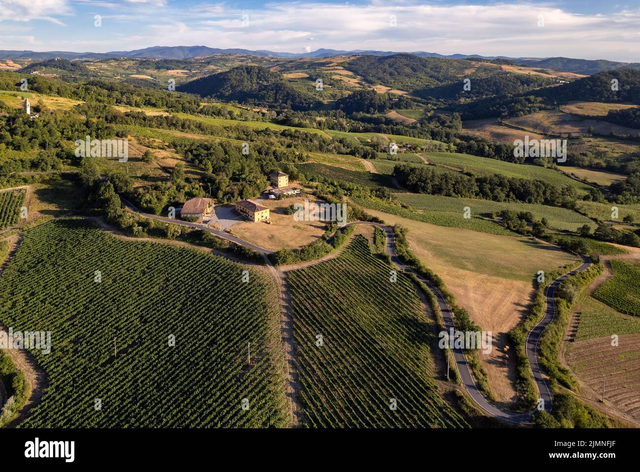 Piantagioni di vigneti, vista panoramica aerea nord Italia. Cielo blu, nuvole, colline di campagna in estate Foto Stock