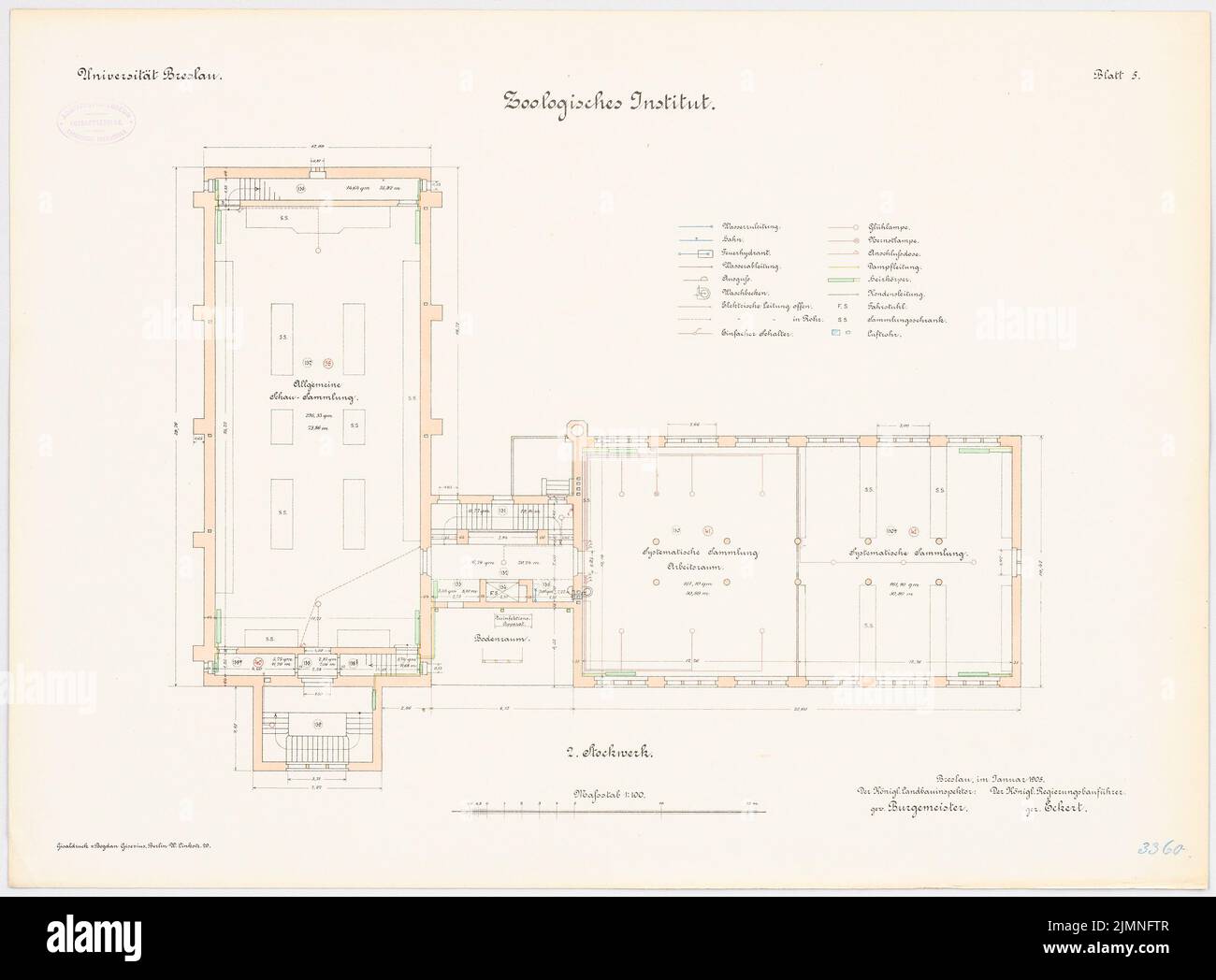 Buchwald Arthur, Università, Wroclaw. Istituto Zoologico (1902-1904): Piano 2nd piano 1: 100. Litografia, 51,1 x 69,2 cm (inclusi i bordi di scansione) Foto Stock