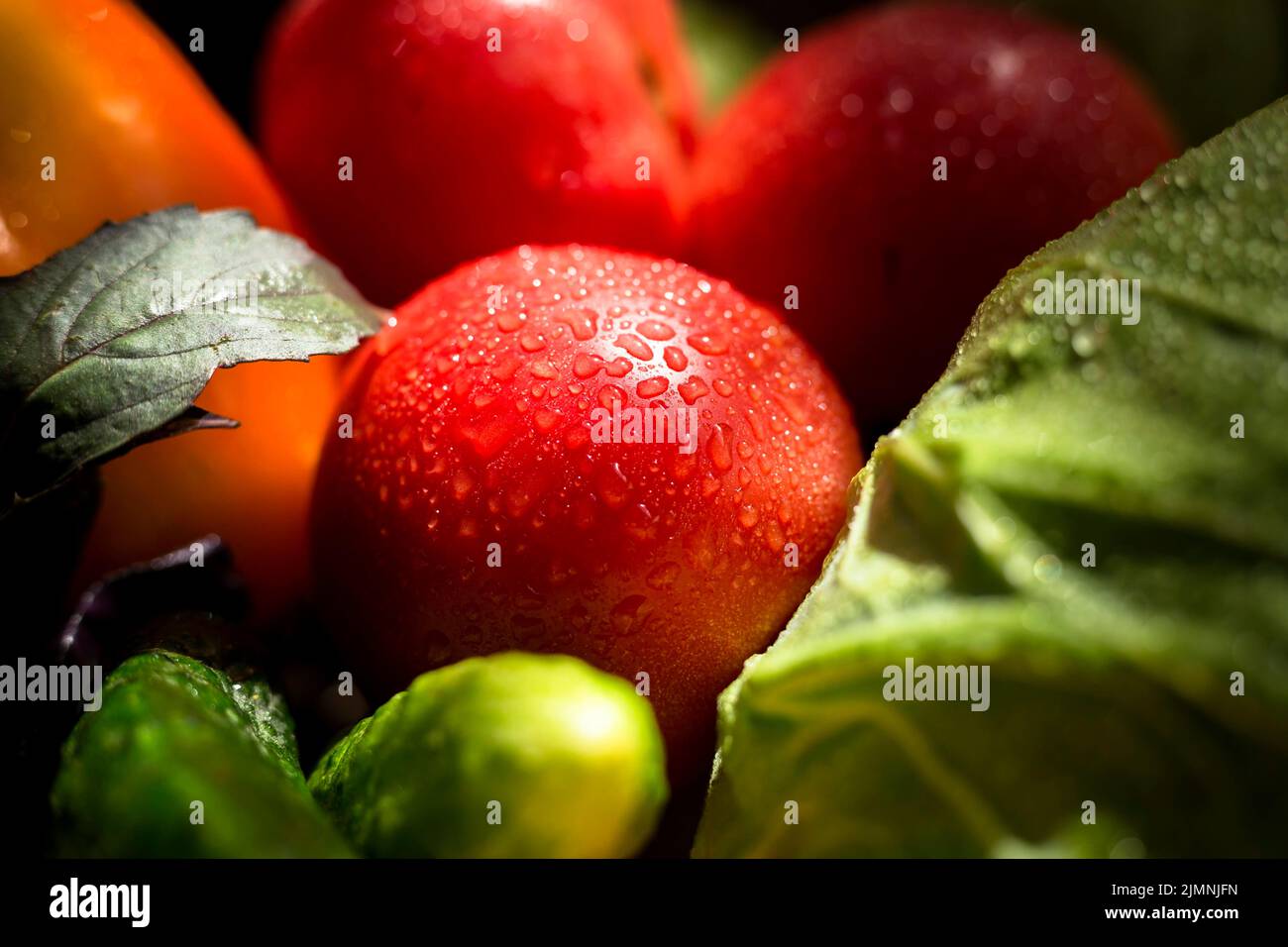 Assortimento di verdure fresche autunnali vista dall'alto Foto Stock