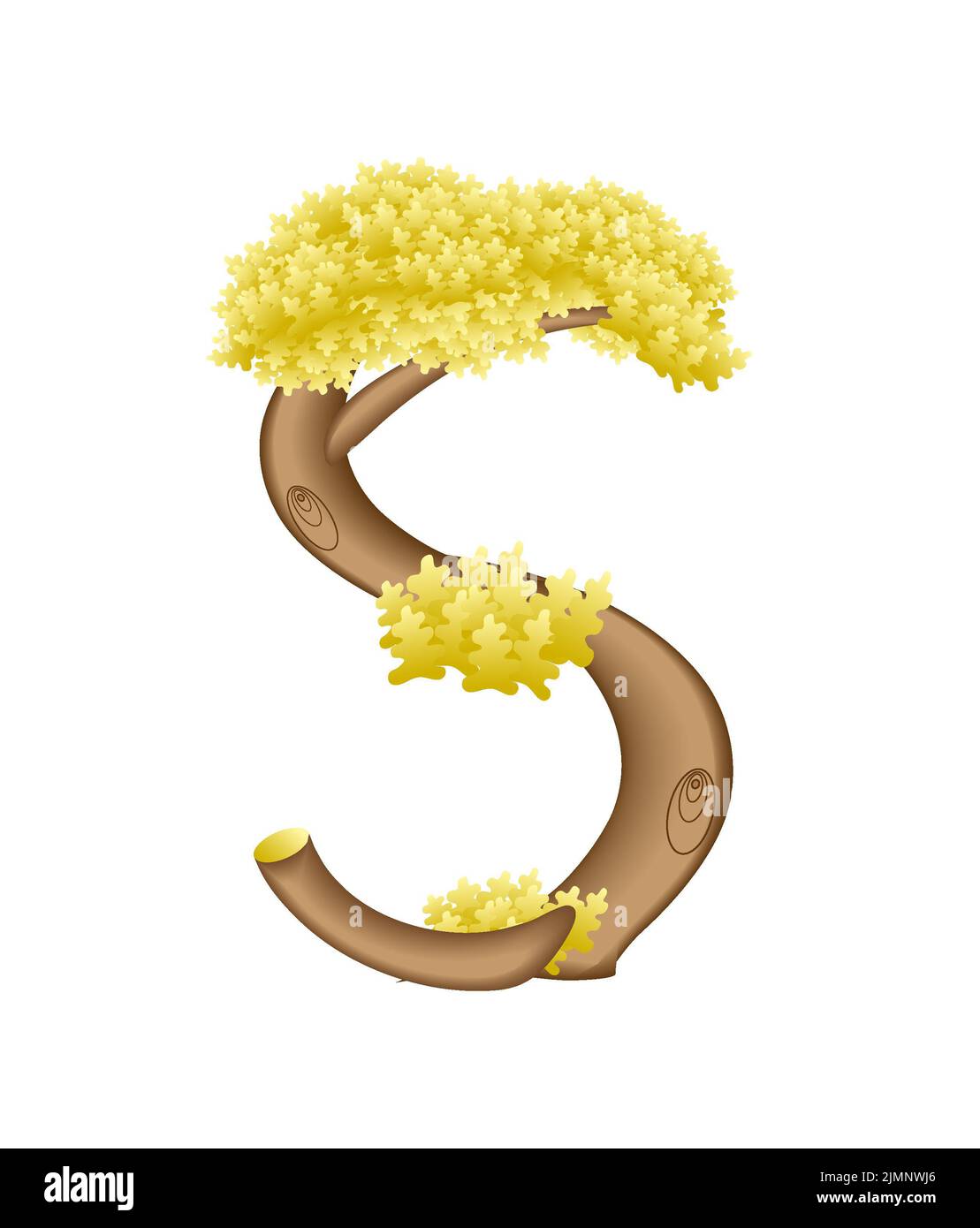 Lettera in forma di albero Foto Stock