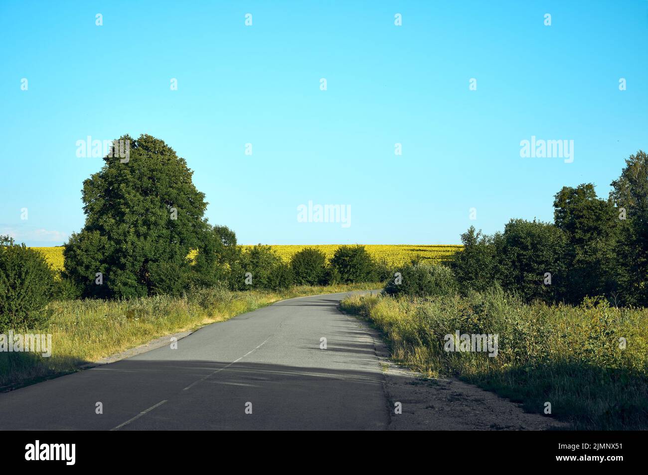 Strada nella campagna in Ucraina. Foto Stock