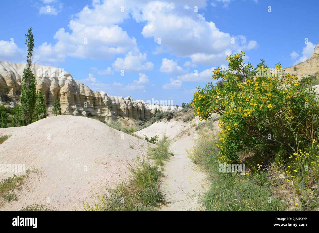 piante colorate e formazioni rocciose bianche nella 'valle bianca', cappadokia, turchia Foto Stock