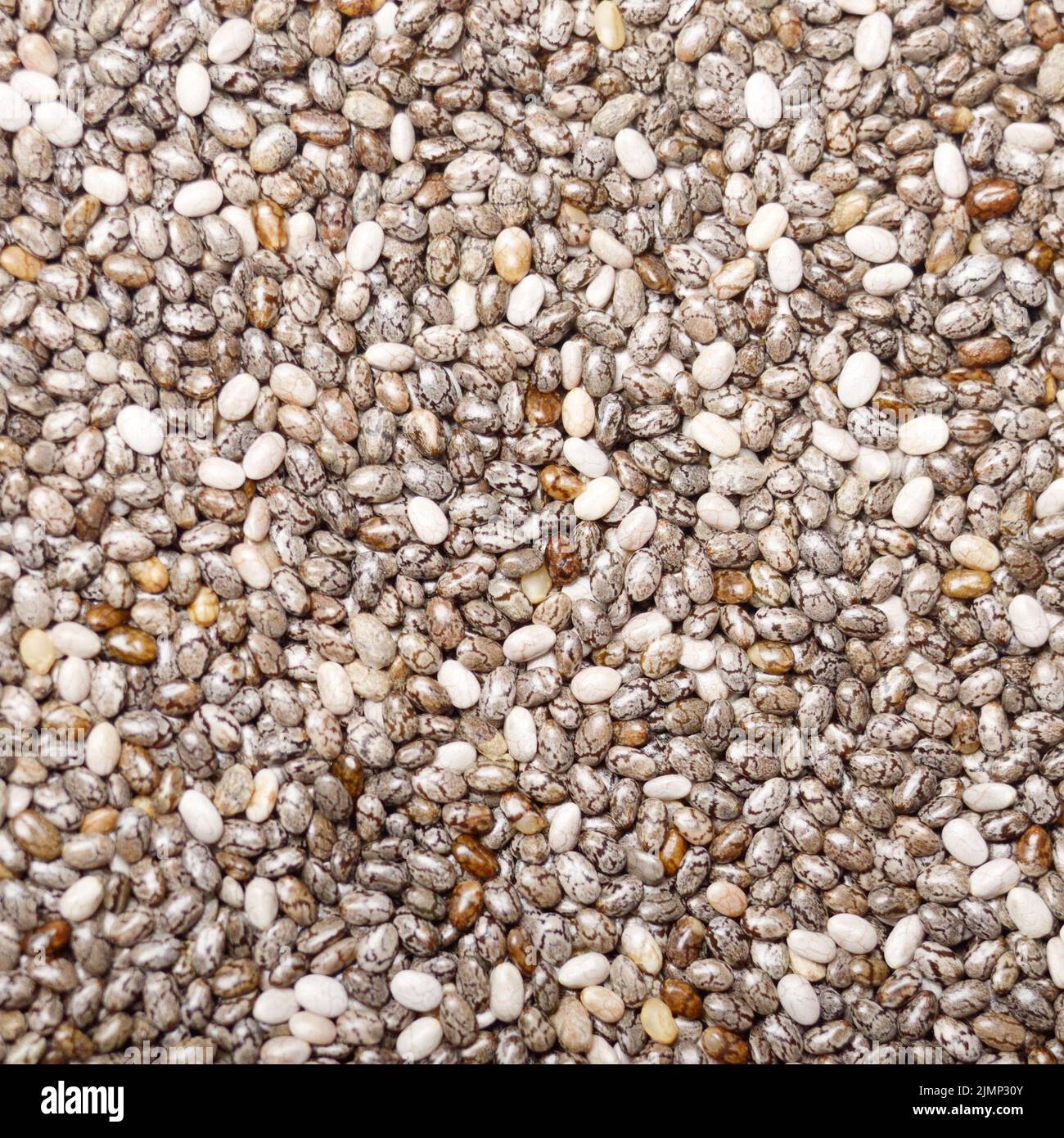 Crudo naturale organico sano Chia semi closeup Foto Stock