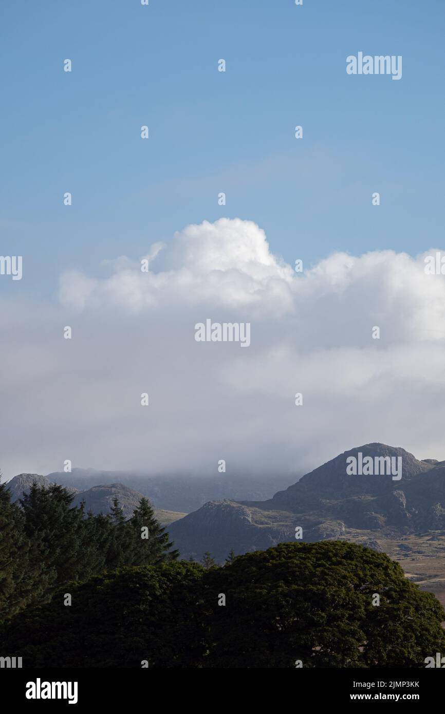 Vista sul Lake District con alberi verdi, cielo blu e nuvole puffy Foto Stock