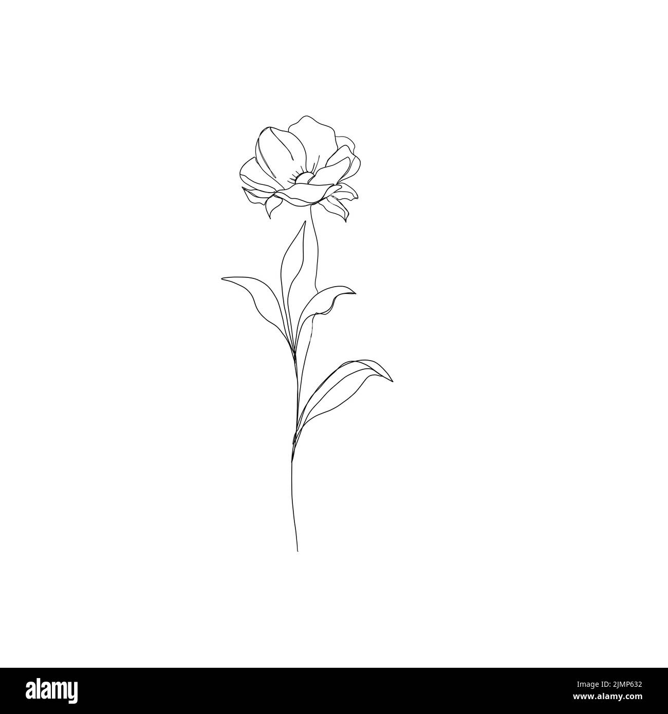 disegno di arte di linea dei fiori. Linea modificabile. Schizzo minimalistico, idea per invito, disegno di storie instagram e icone di evidenziazione. Set d'arte linea set Foto Stock