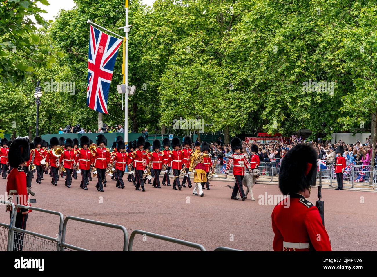 I primi battaglione Irish Guards insieme a 'Seamus' loro Wolfhound Mascot irlandese prendono parte alla Queen's Birthday Parade, Londra, Regno Unito. Foto Stock