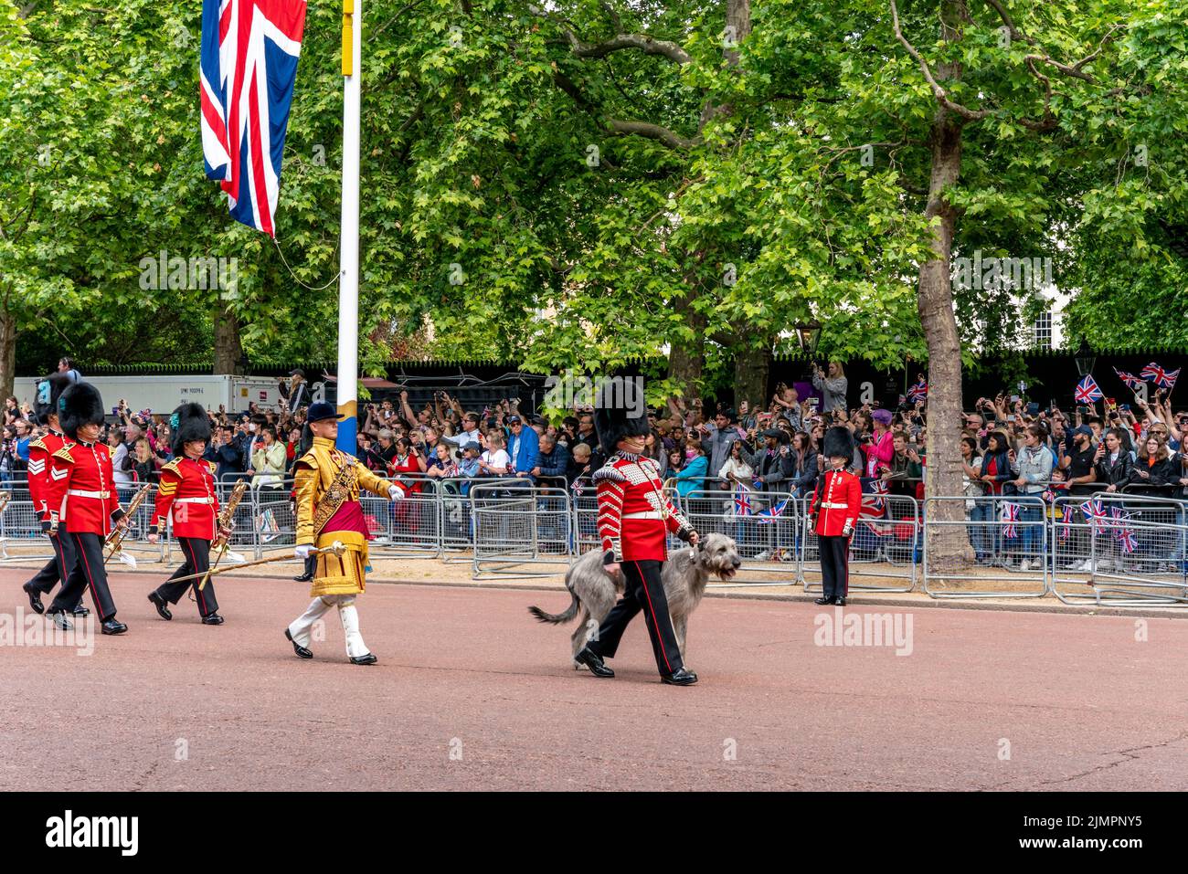 I primi battaglione Irish Guards insieme a 'Seamus' loro Wolfhound Mascot irlandese prendono parte alla Queen's Birthday Parade, Londra, Regno Unito. Foto Stock