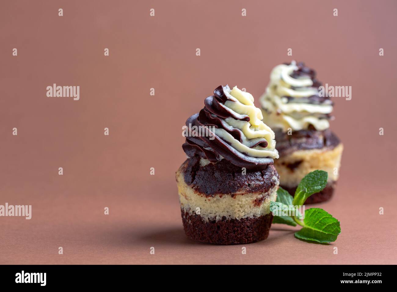 Cupcake di marmo con crema alla vaniglia al cioccolato. Foto Stock