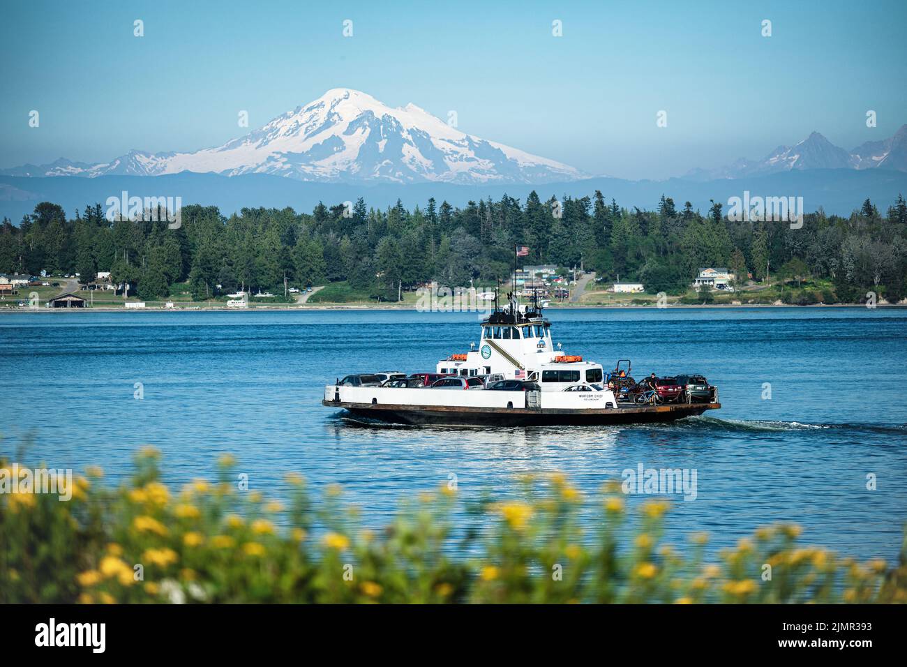 Traversata in traghetto con Mt Baker e Wildflowers Foto Stock