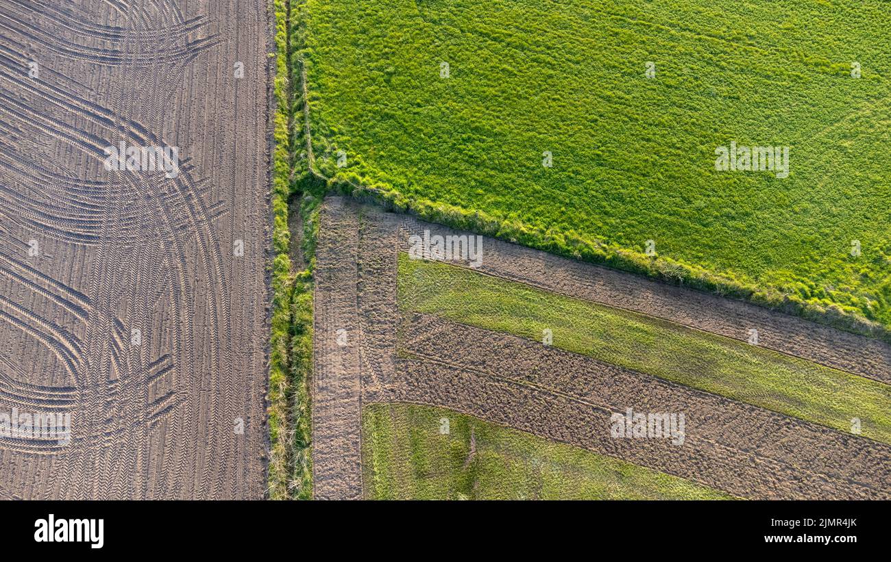 Vista aerea drone dall'alto verso il basso, file di suolo prima di piantare. Modello agricolo di fattoria in un campo arato preparato Foto Stock