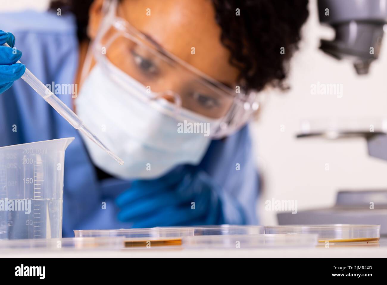 Primo piano del liquido di pipettaggio medico femminile medio-americano in piastra Petri sul tavolo Foto Stock