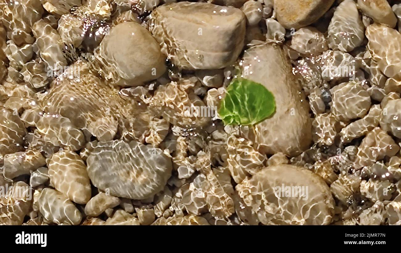 foglia di betulla su una pietra sott'acqua con riflessi solari e ondulazione d'acqua ravvicinata Foto Stock