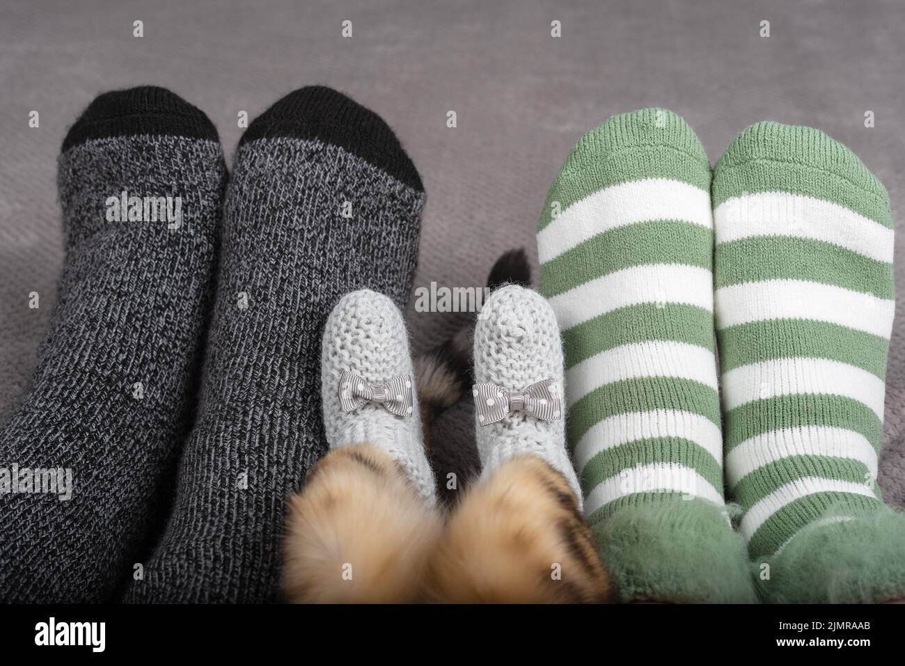 Primo piano delle gambe di una famiglia con un gatto e calze colorate sul letto. Foto Stock