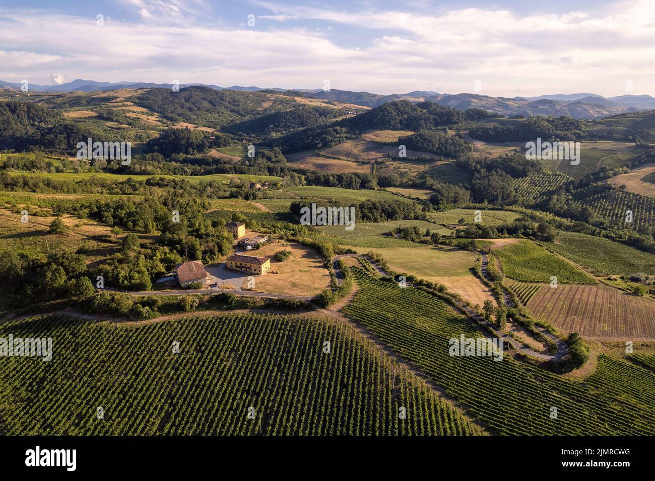 Piantagioni di vigneti, vista panoramica aerea nord Italia. Cielo blu, nuvole, colline di campagna in estate Foto Stock