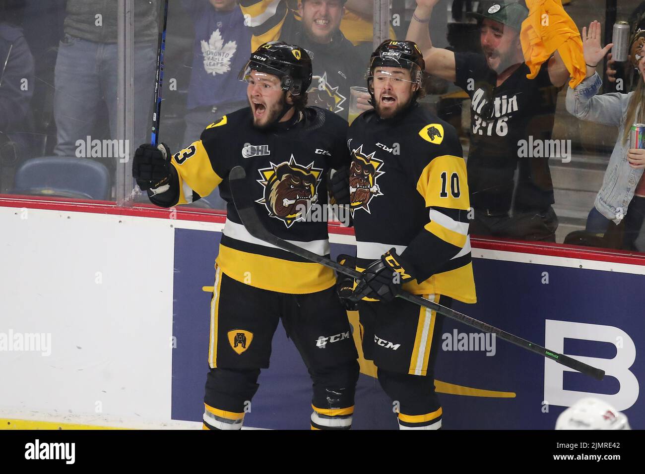 (Solo editoriale) Gavin White(10) degli Hamilton Bulldogs. Luke Durda/Alamy Foto Stock