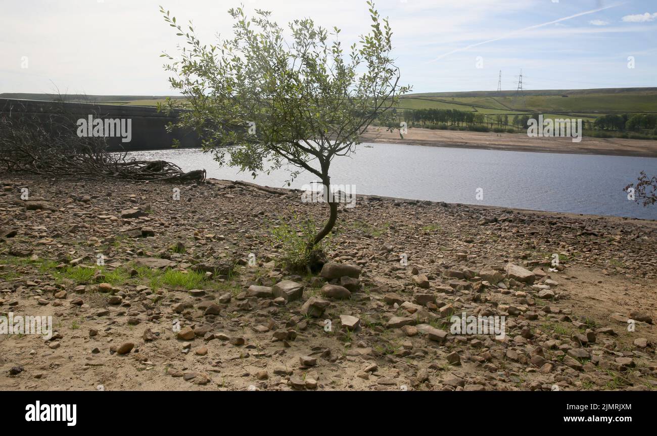 Ripponden, Regno Unito. 7th Agosto 2022. Baitings Reservoir è un grande approvvigionamento idrico gestito da Yorkshire Water and supply's Wakefield. La bassa caduta di pioggia ha lasciato l'acqua bassa con i visitatori in grado di camminare sulle aree di solito piedi sotto l'acqua. Ripponden, Regno Unito. Credit: Barbara Cook/Alamy Live News Foto Stock