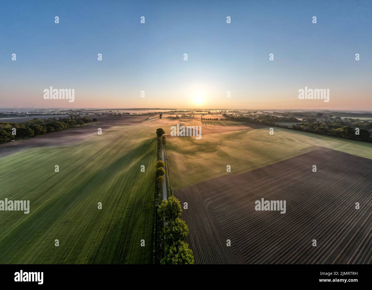 Drone aereo ripresa di una bella verde e giallo piantagioni agricole confinanti con foreste selvagge in Belgio, Europa con t Foto Stock