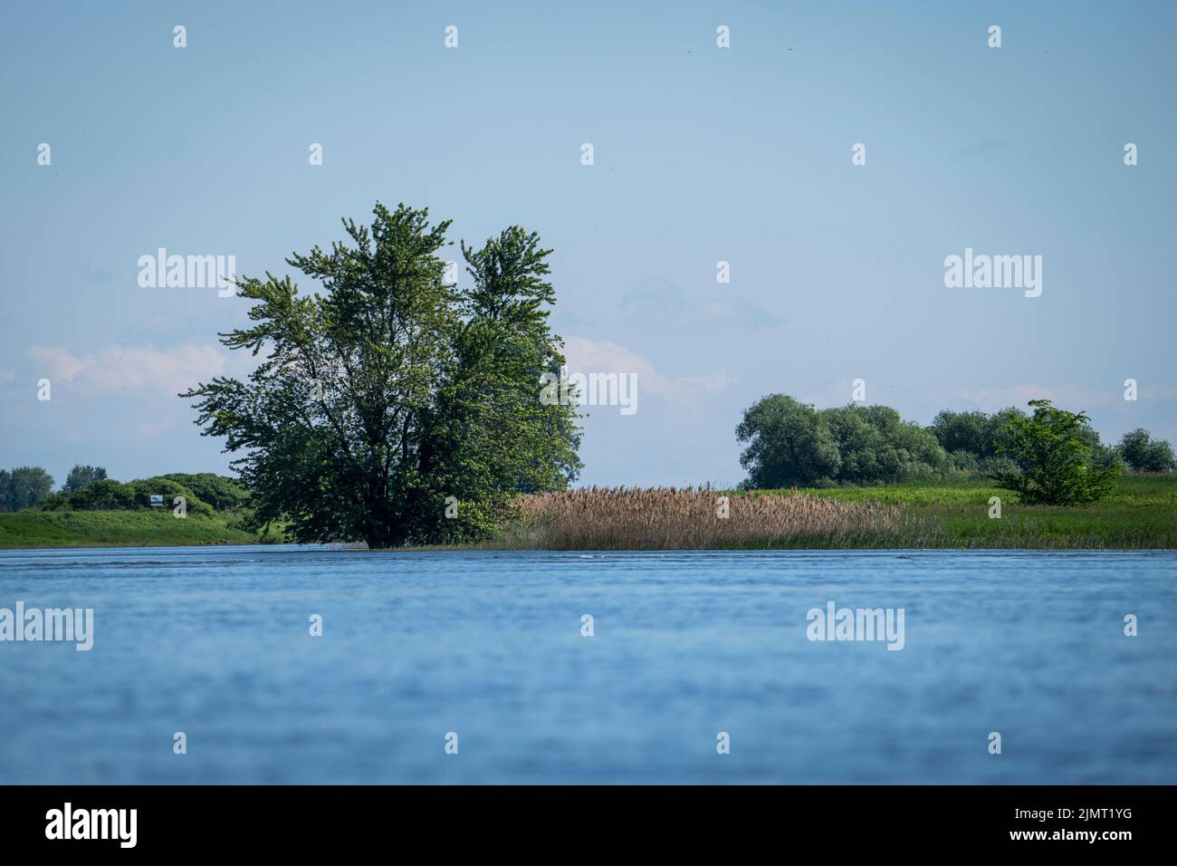 Sponde d'acqua dolce lungo il fiume San Lorenzo in estate Foto Stock