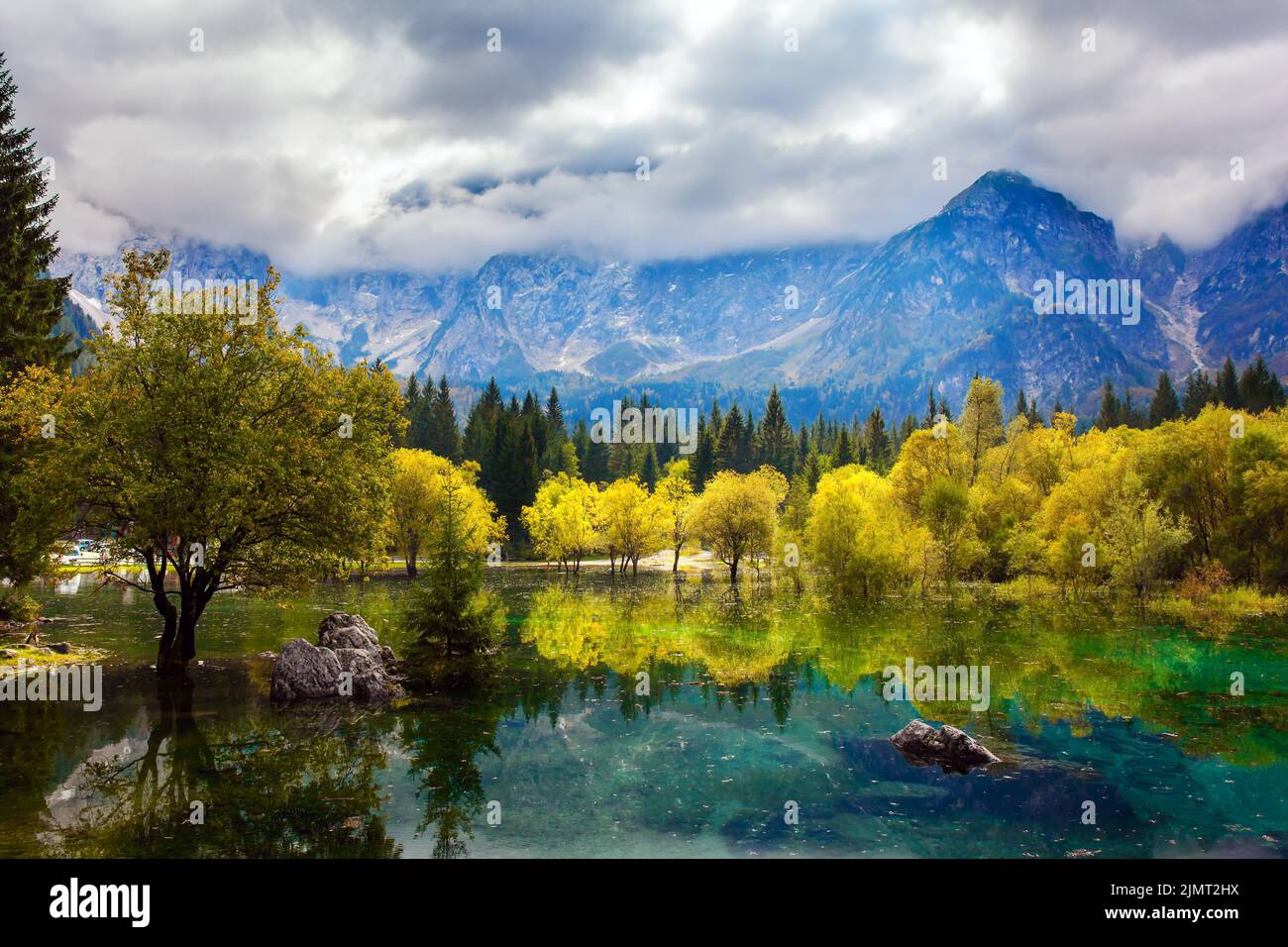 Le Dolomiti. Aranci e alberi gialli Foto Stock