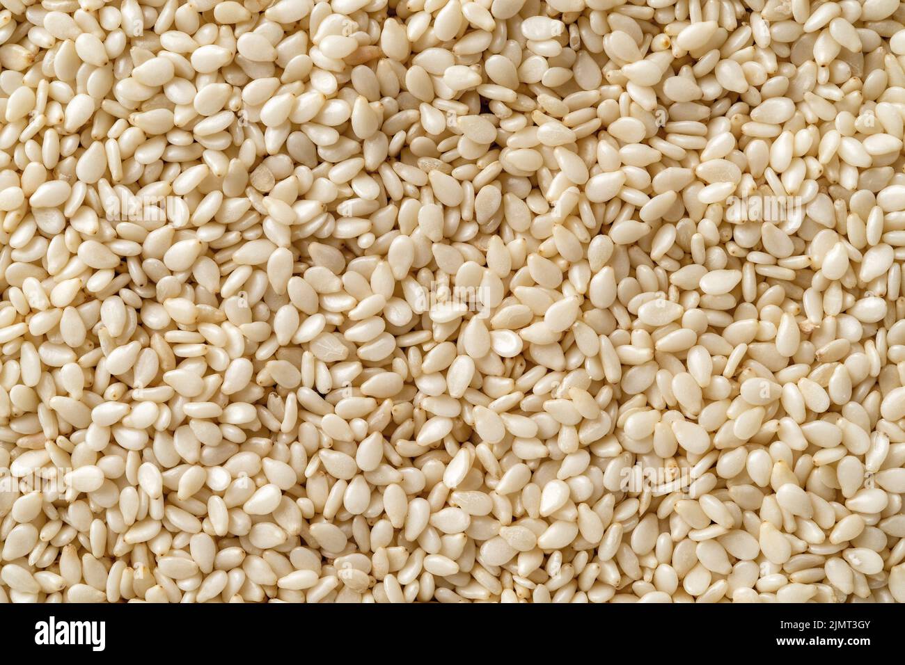 Semi di sesamo grezzi sfondo macro. Texture di grani benne organico closeup. Bianco til per alimenti sani, rafforzare la dieta immunitaria, fonte di calcio. Foto Stock