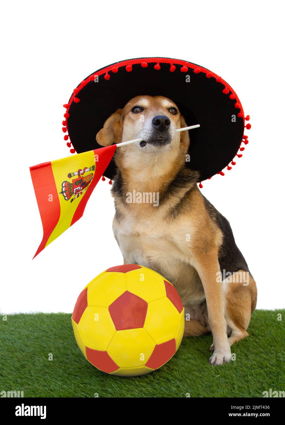 Cane con cappello di flamenco, bandiera spagnola e palla da calcio Foto Stock