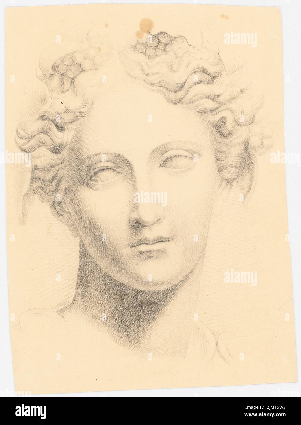 Diebitsch Carl von (1819-1869), Frauenkopf (senza data): Frauenkopf dalla parte anteriore. Matita su carta, 31,3 x 23,7 cm (compresi i bordi di scansione) Diebitsch Carl von (1819-1869): Frauenkopf Foto Stock