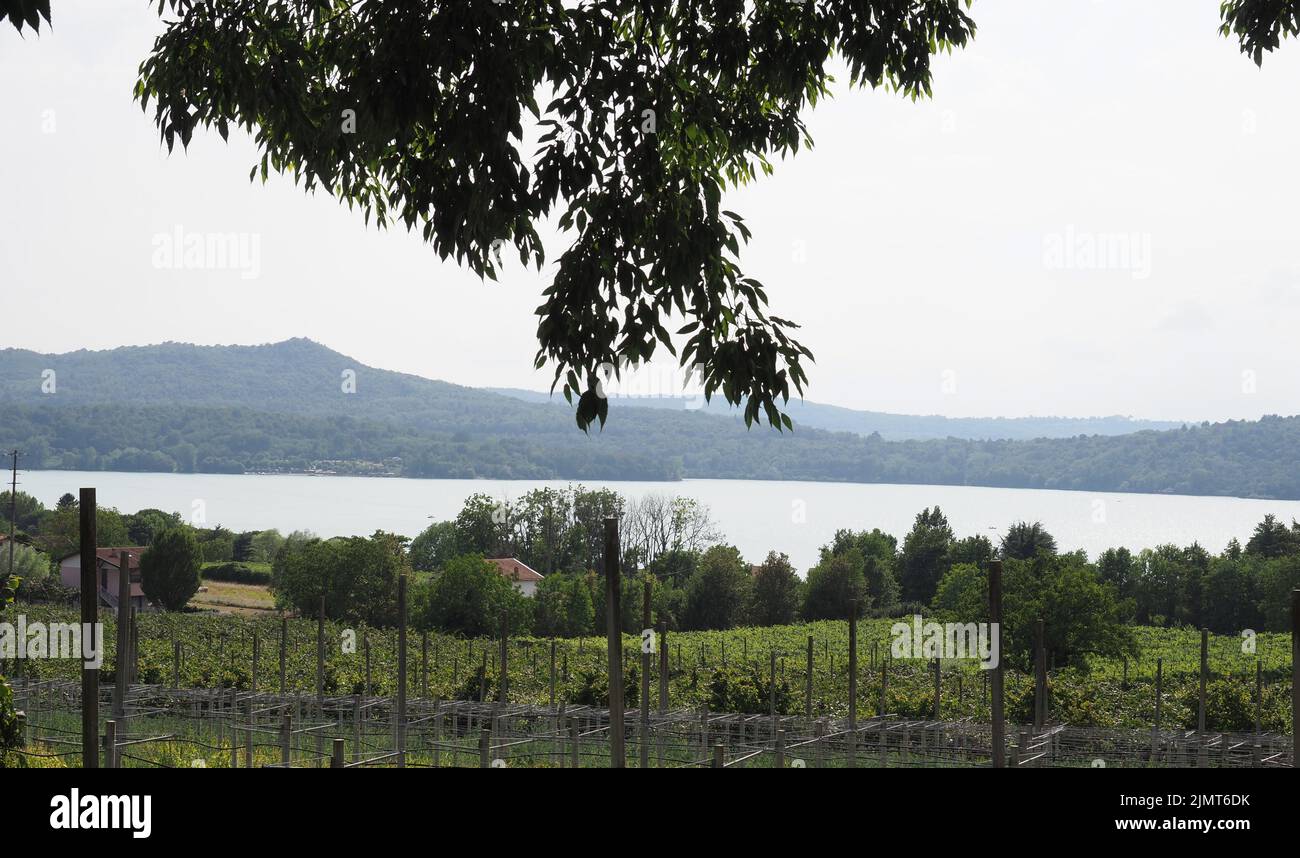 Vista sul lago di Viverone in Piemonte Foto Stock