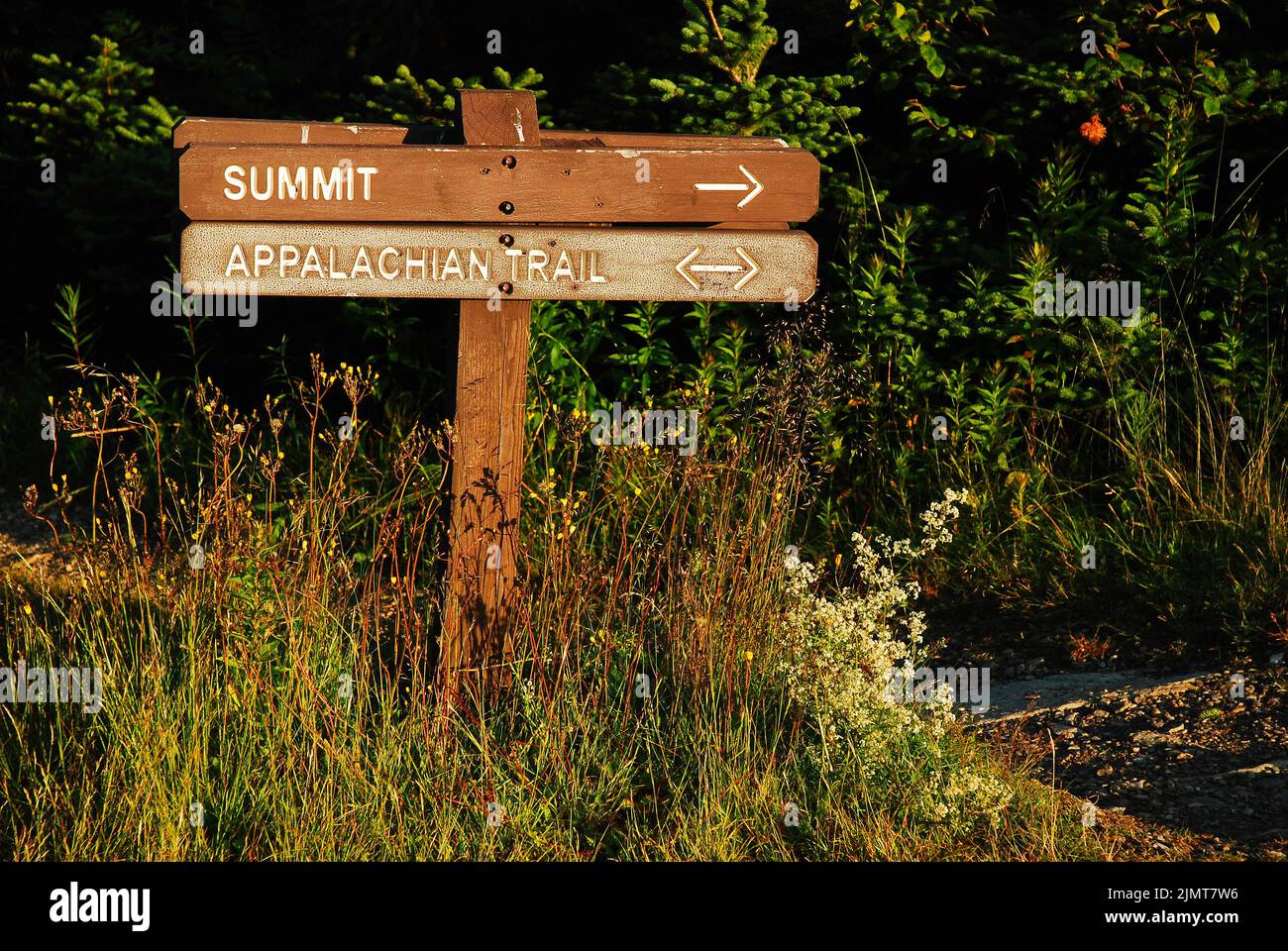 Un cartello conduce gli escursionisti alla cima del monte Greylock in Massachusetts lungo il sentiero Appalachian Trail Foto Stock