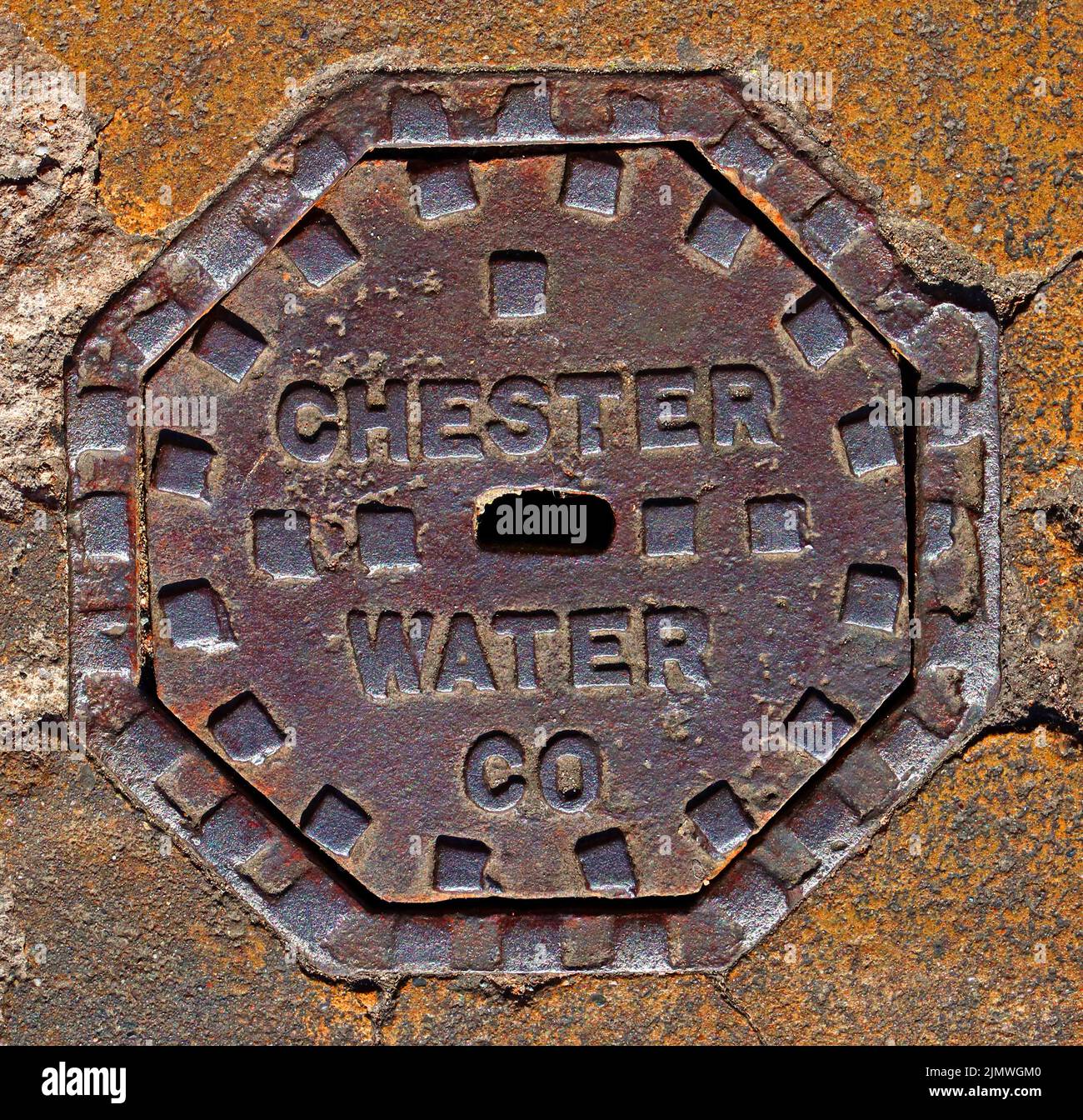 Chester Water Company Grid, Foregate Street, Chester City, Cheshire, Inghilterra, REGNO UNITO, CH1 1LG Foto Stock