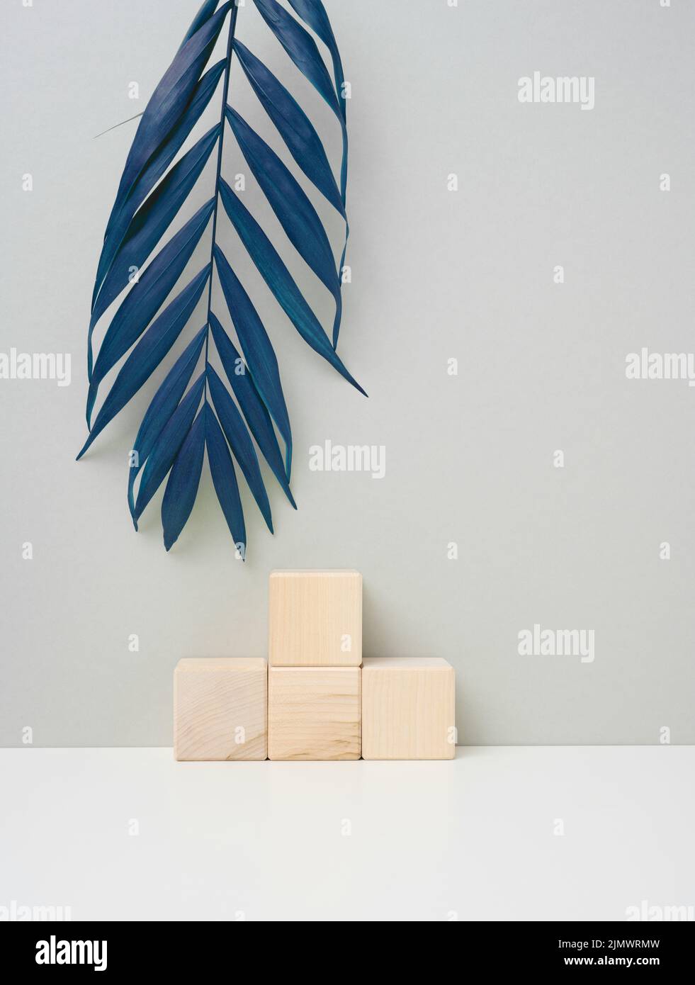 Cubo di legno su sfondo grigio con una foglia di palma blu. Palcoscenico per la dimostrazione del prodotto, cosmetici. Promozione e pubblicità Foto Stock