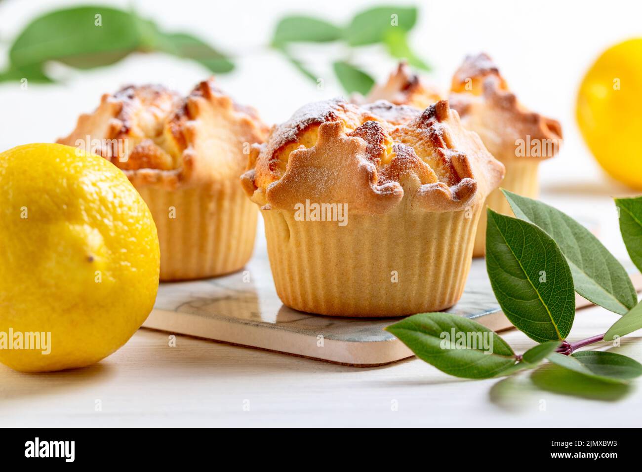 Ricotta tradizionale e cupcake al limone. Foto Stock