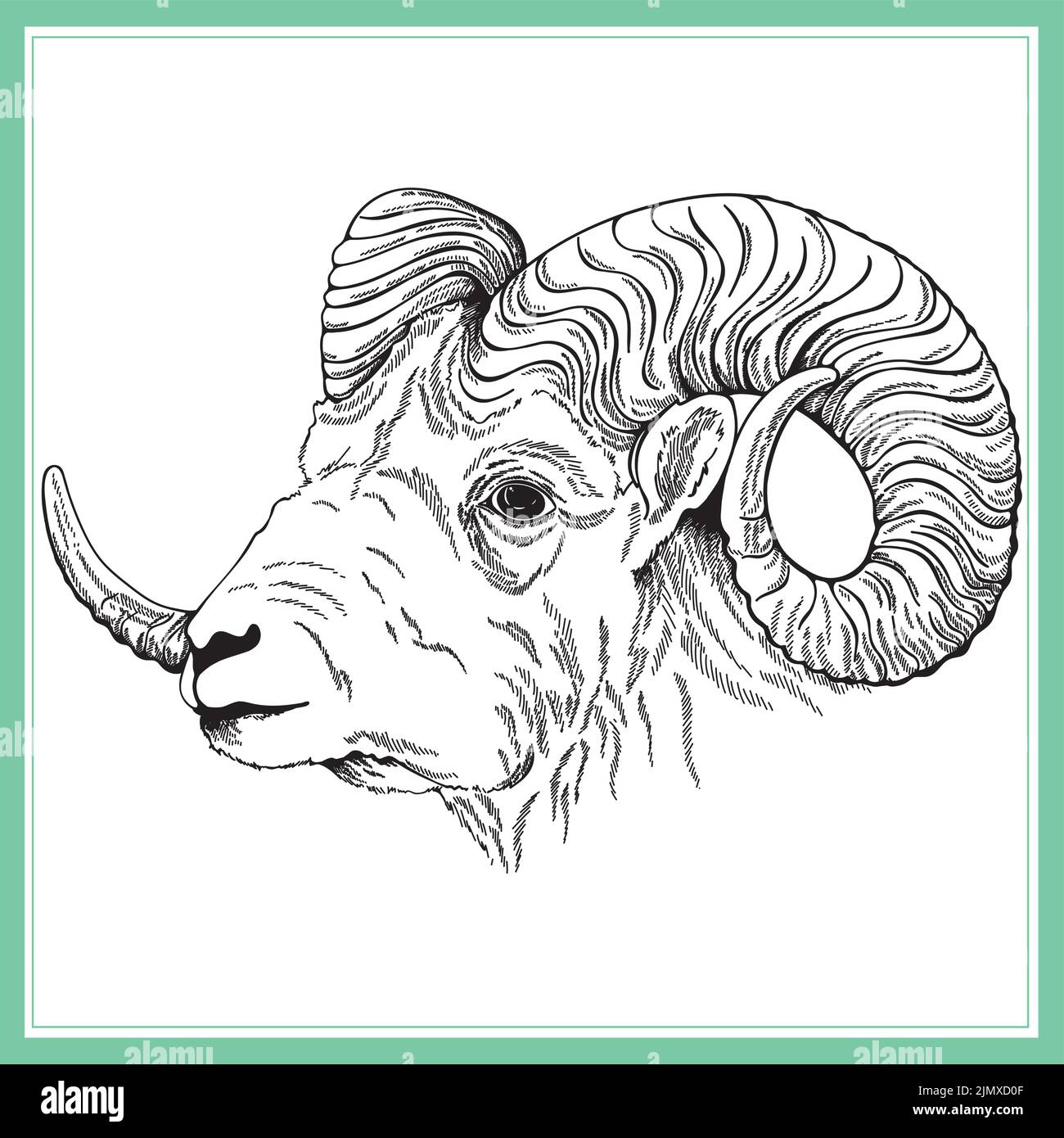 RAM di stile disegno a mano isolata su sfondo bianco. Illustrazione vettoriale. Illustrazione Vettoriale