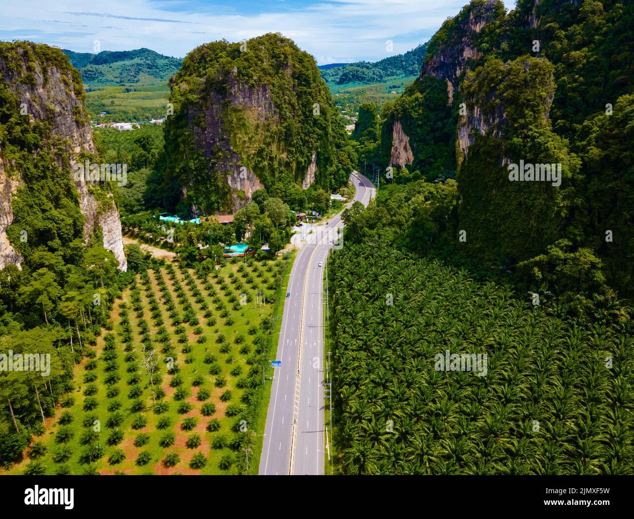 Vista aerea della strada e piantagione di olio di palma in Krabi Thailandia Foto Stock