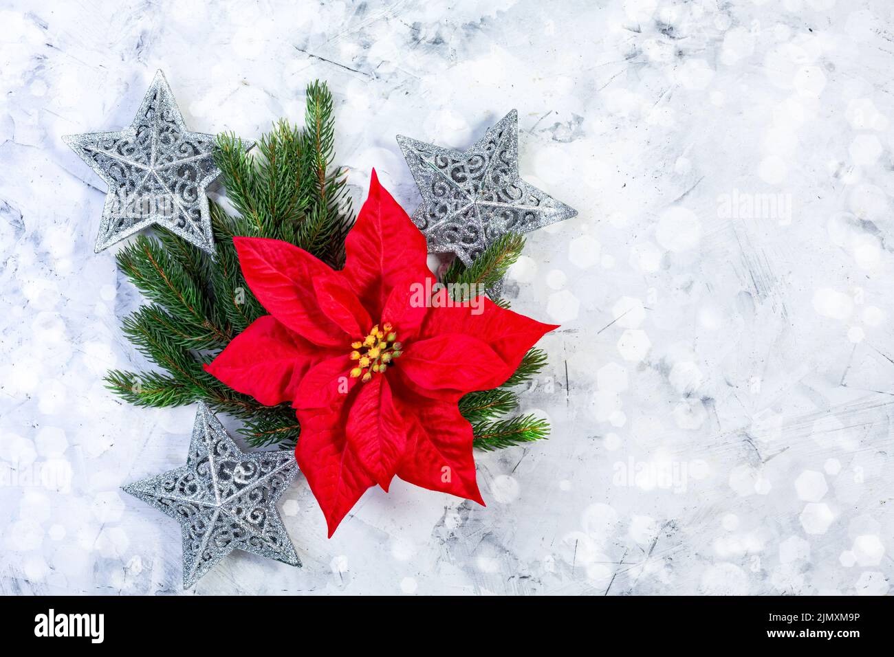 Composizione natalizia con poinsettia rossa e rametti di abete. Foto Stock
