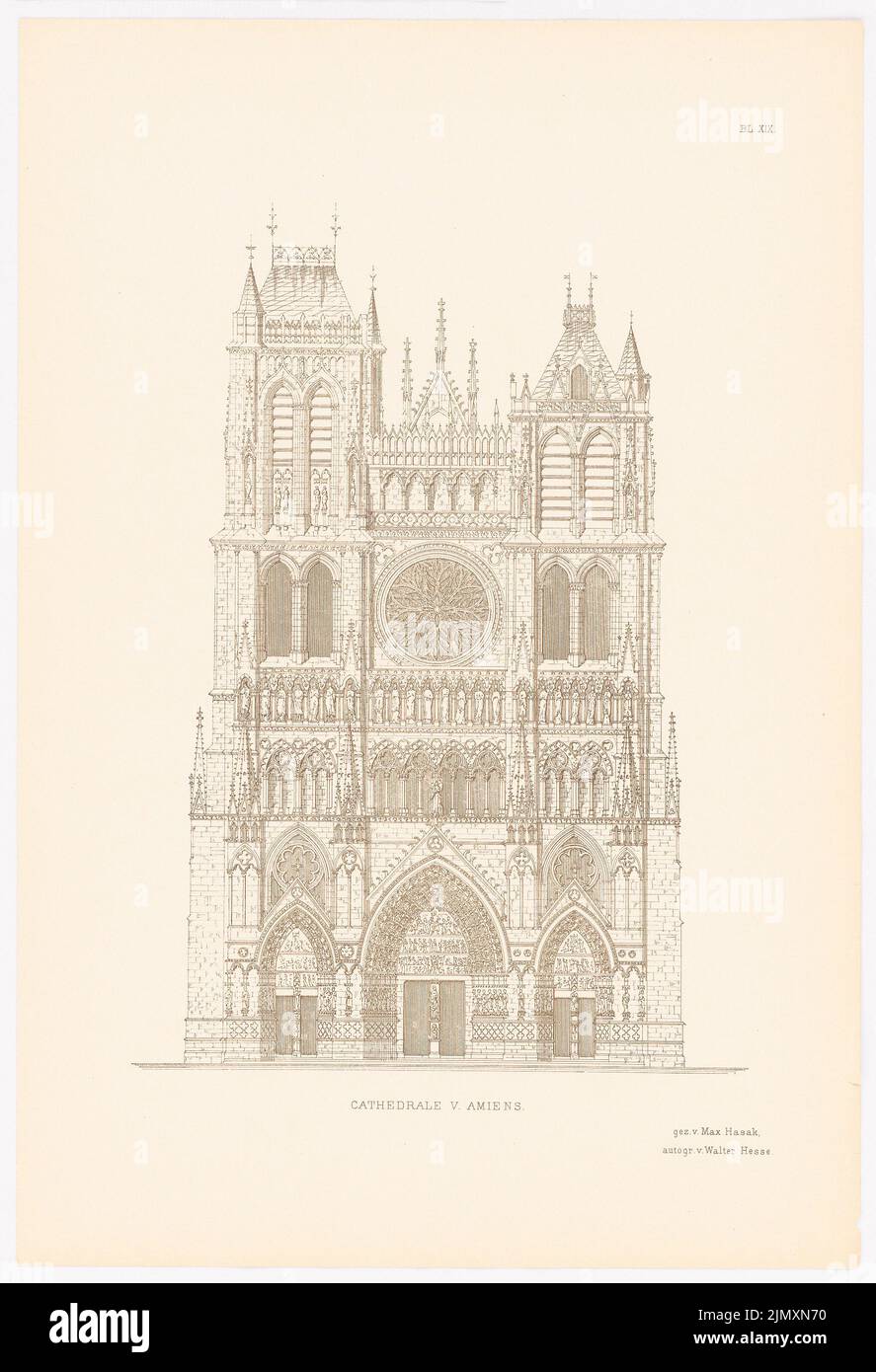 N.N., Cattedrale di Amiens. (Da: Architettura gotica in Francia, ed. Stampa su carta, 54,5 x 37,3 cm (inclusi i bordi di scansione) Foto Stock