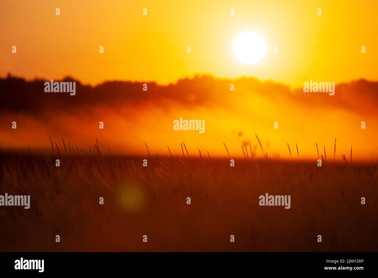 Sfocate lo sfondo del campo con un tramonto arancione e rosso. Foto Stock