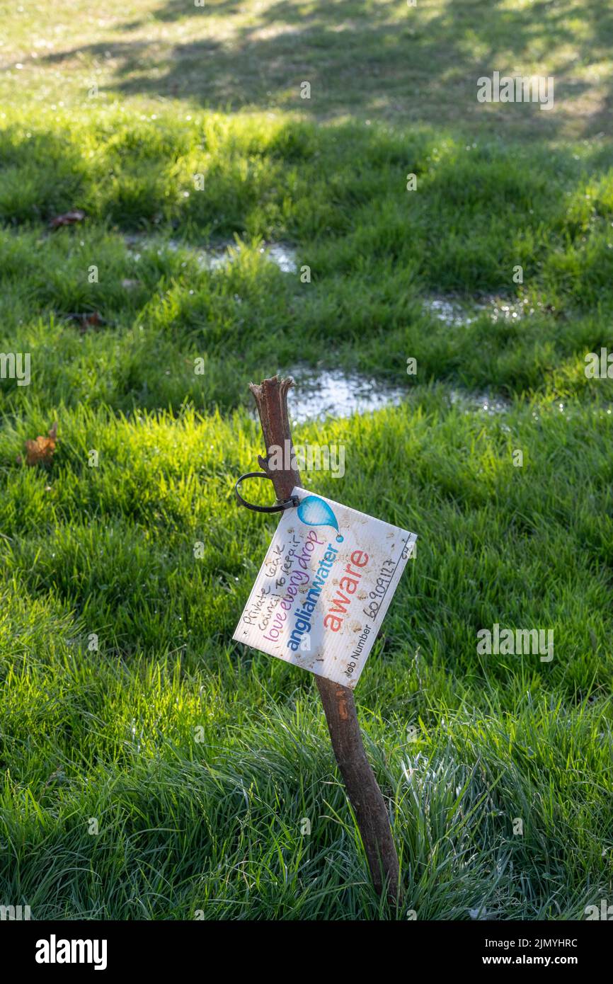 Northampton. REGNO UNITO. 8th Agosto 2022. Mentre c'è una carenza d'acqua nel paese, una fuga in Abington Park proprio dal Consiglio è stata lasciata senza riparazione per oltre un mese dando un'oasi di verde nella zona parched intorno. Credit: Keith J Smith./Alamy Live News Foto Stock