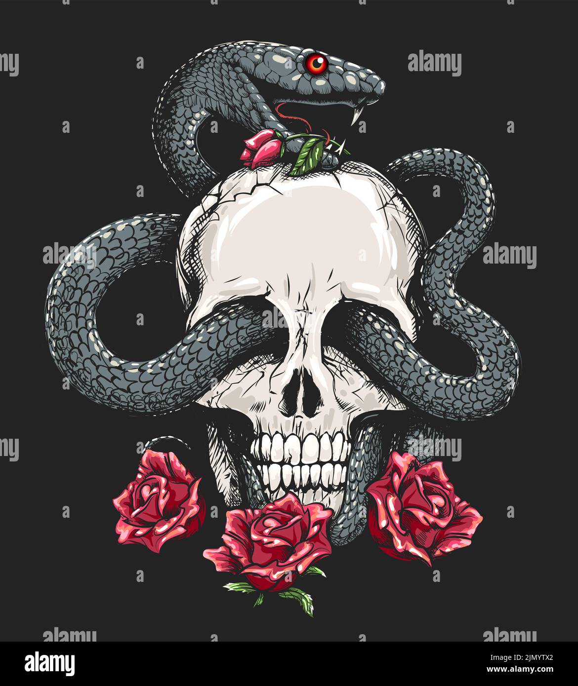 Cranio umano con serpente e rose su sfondo nero illustrazione vettoriale Illustrazione Vettoriale