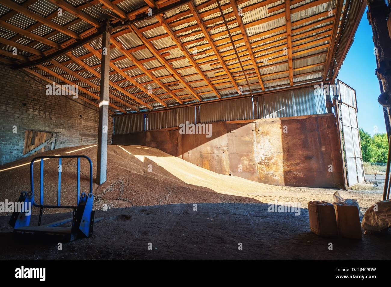 Grano in deposito di magazzino. Granaio interno con cumulo di grano crudo. Industria agricola. Foto Stock