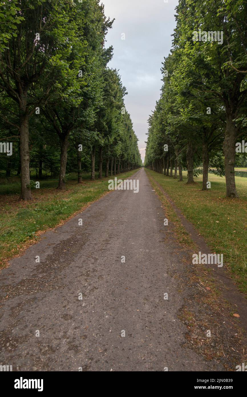 Strada accanto al Canal Grande nei giardini del Chateau de Fontainebleau, Francia. Foto Stock