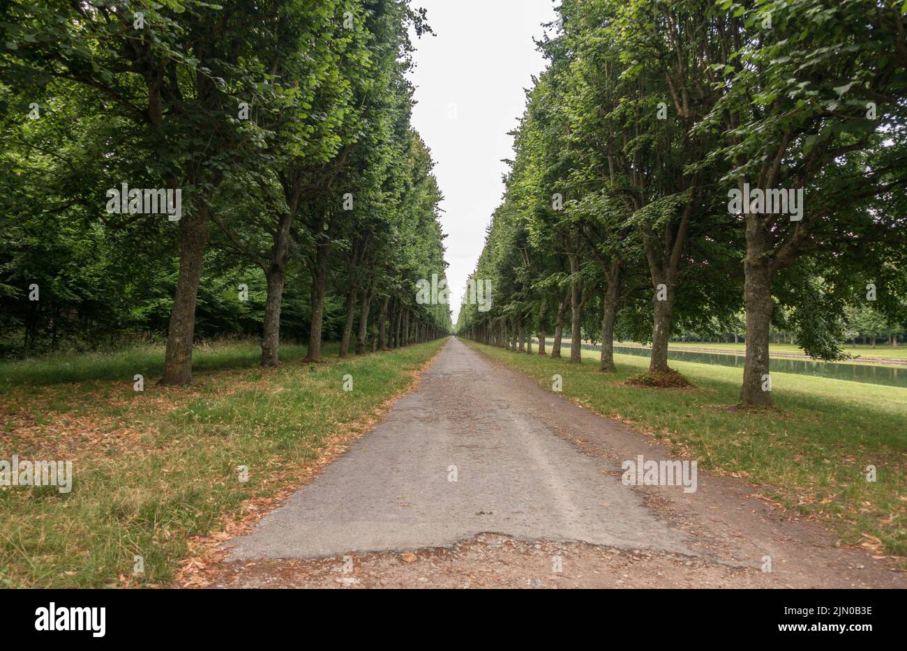 Strada accanto al Canal Grande nei giardini del Chateau de Fontainebleau, Francia. Foto Stock