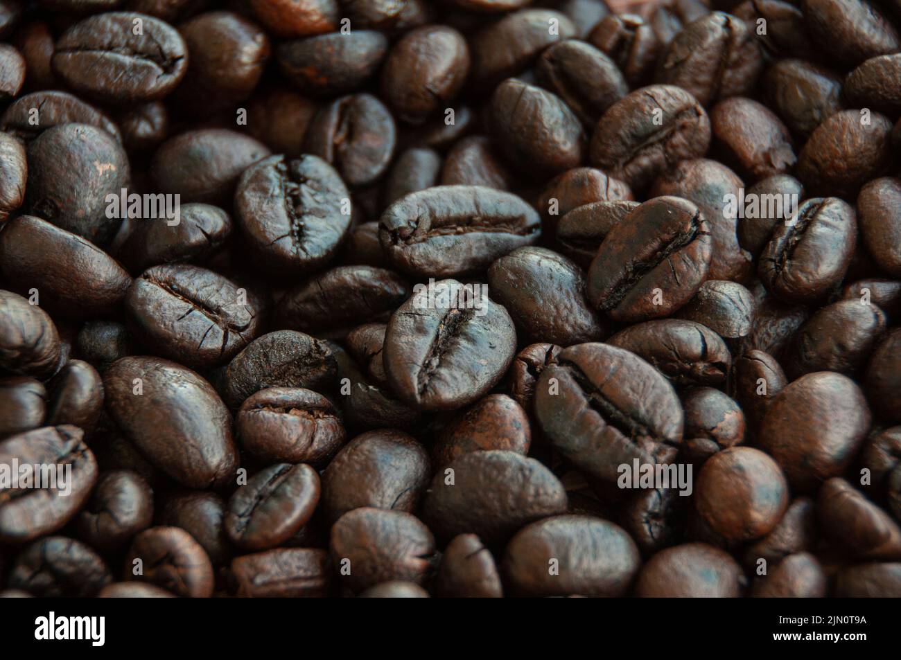 Primo piano dei chicchi di caffè. Concetto di cibo e bevande. Spazio di copia Foto Stock