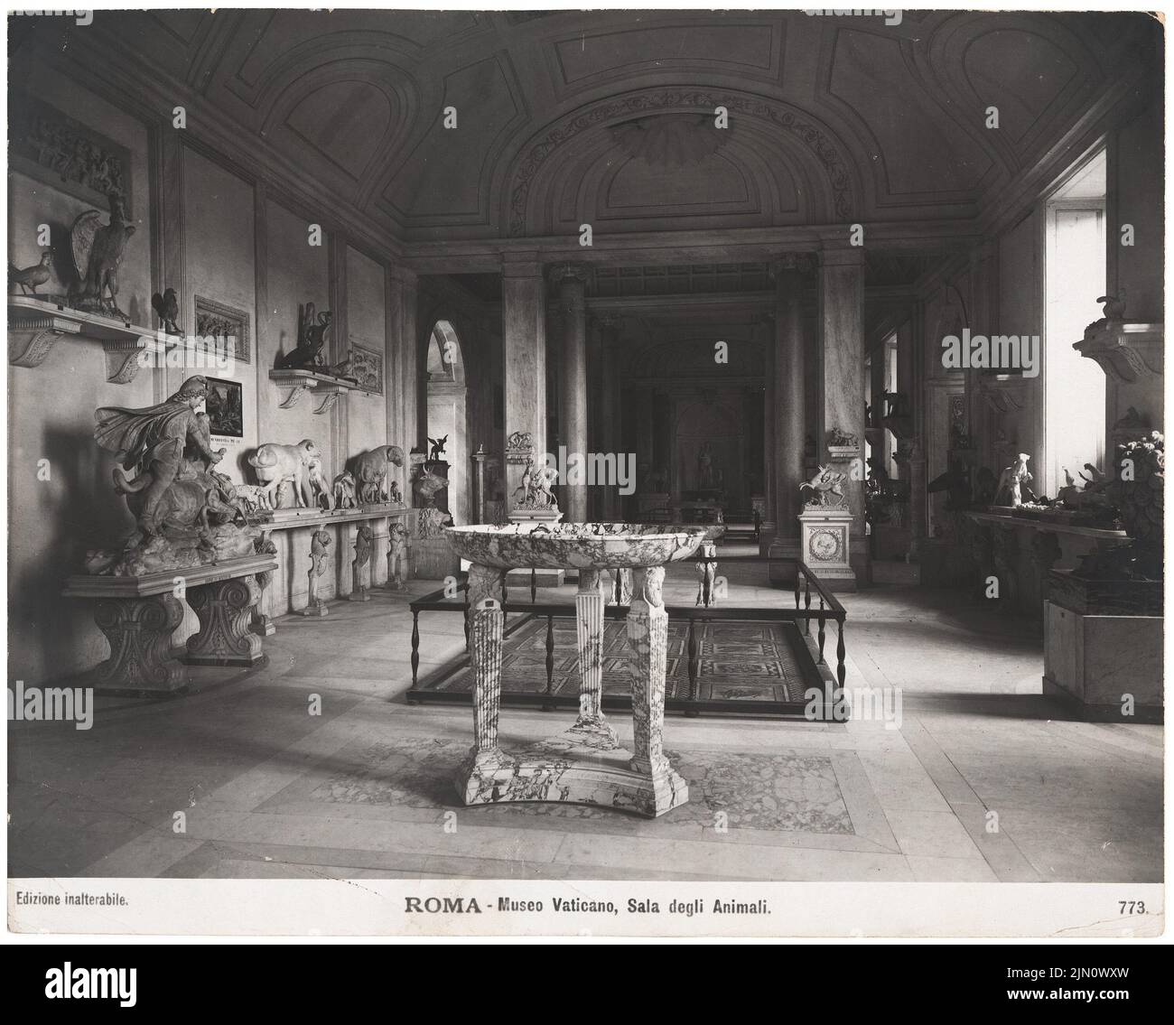 UNBEK. Foto, Museo del Vaticano a Roma (Ohne DAT.): Stanza degli animali. Foto, 19,8 x 24,7 cm (inchiostro Scanränder). Tu Architektormuseum Inv. F 6219. unbek. Fotografie : Museo Vaticano in Rom (ohne DAT.) Foto Stock