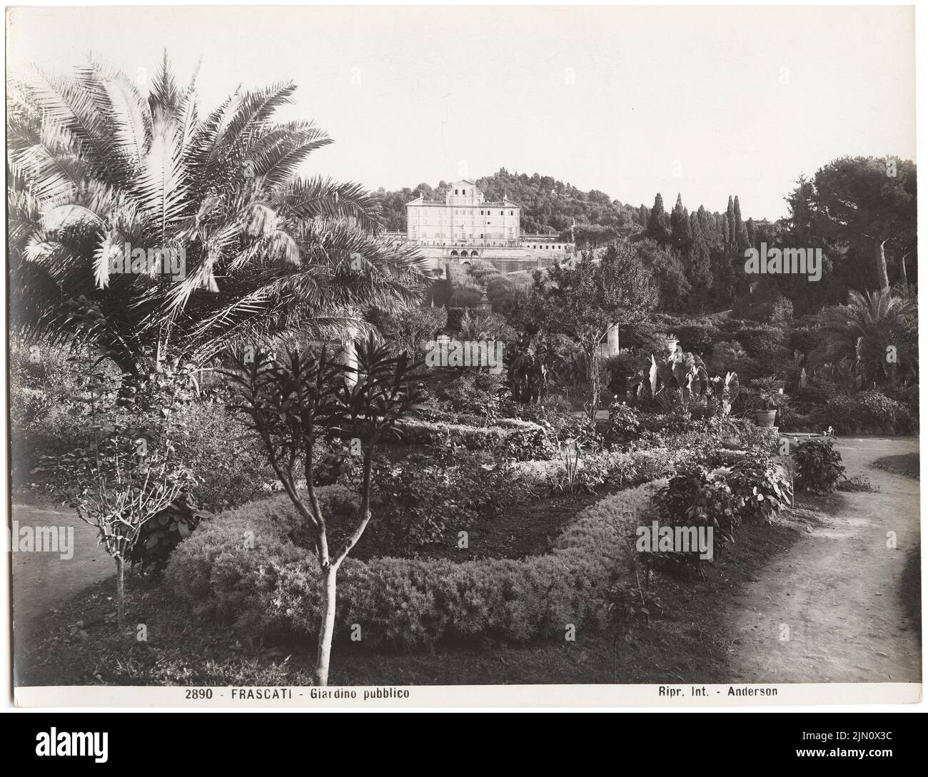 Fotografo sconosciuto, Giardino Publico a Frascati (senza dat.): Vista. Foto su cartone, 20,4 x 26,5 cm (inclusi i bordi di scansione) senza bordi. Fotografa : Giardino pubblico a Frascati (ohne DAT.) Foto Stock