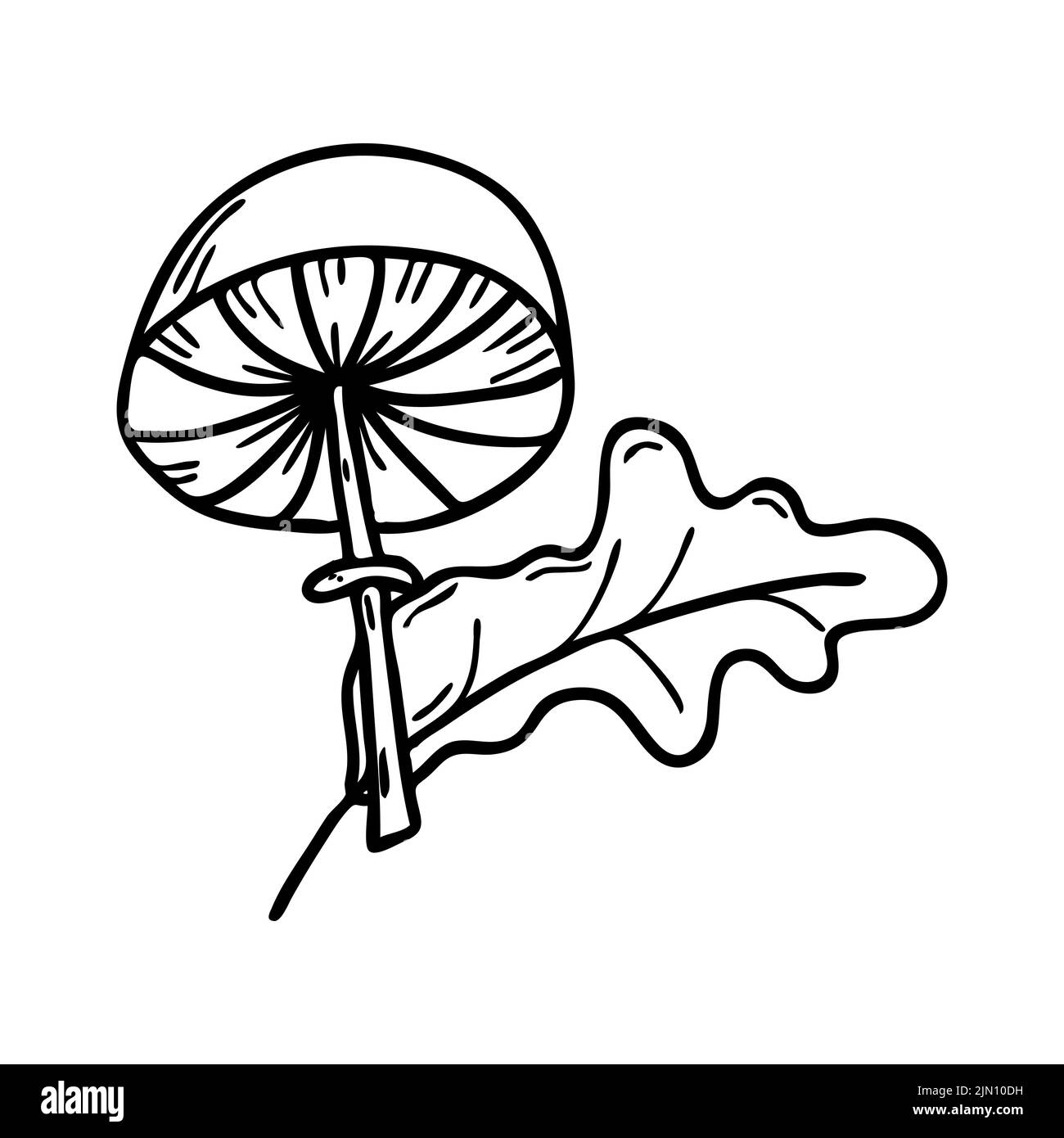 Fungo contorno vettoriale. Icona a fungo. Ritaglio semplice Illustrazione Vettoriale